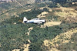 197- ARMEE DE L'AIR EN ALGERIE 1945-1962-45 (66)